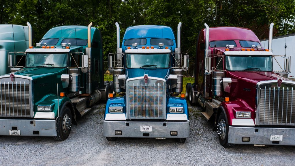 Row of Kenworth trucks lined up on a truck dealer lot
